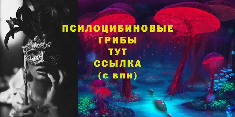 Галлюциногенные грибы Psilocybine cubensis  гидра как войти  Горняк 